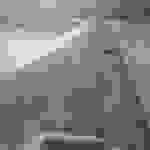 sam8