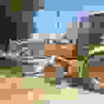 sam8