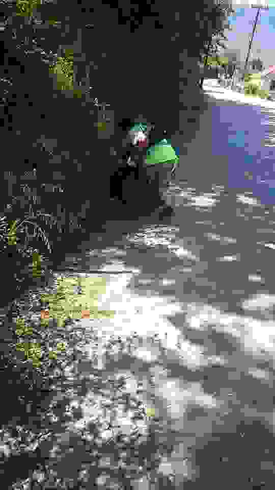 sam9