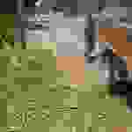 sam9