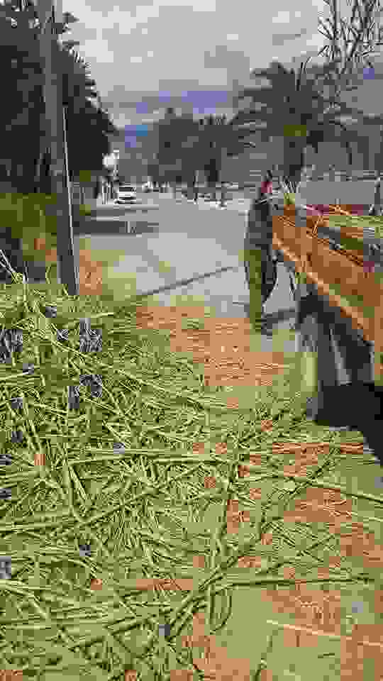 sam9