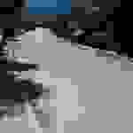 sami6