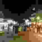 sk6