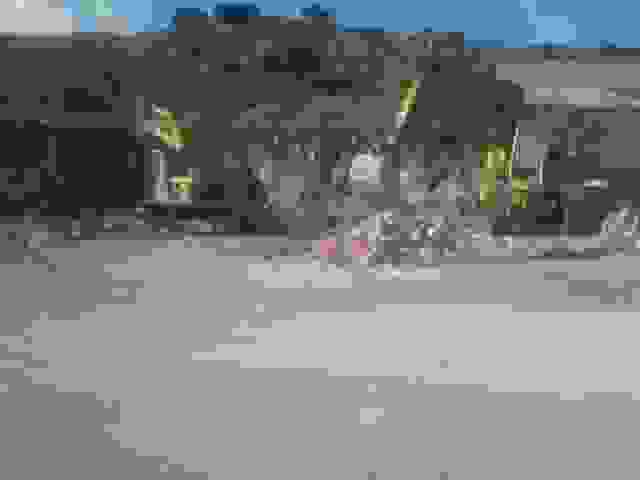 sp