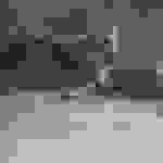 sp3