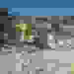 sp6
