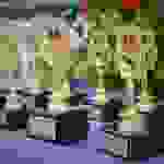 te