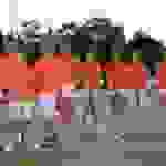 te4