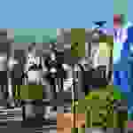 tr1