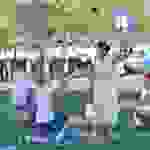 tr4