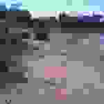 vats4