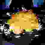 vin2