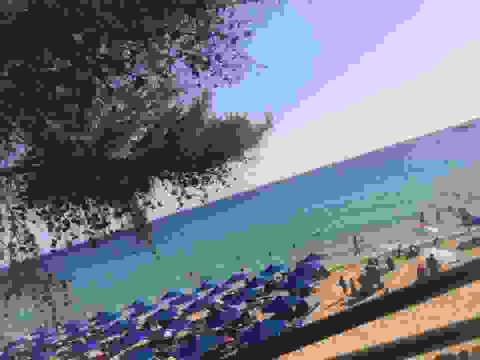 COSTA