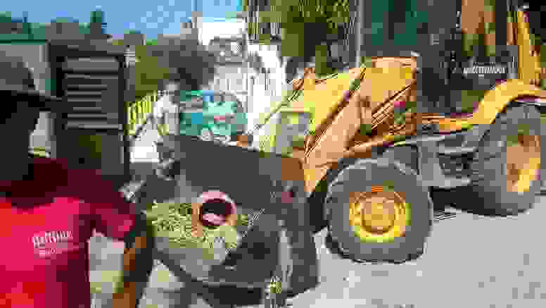 alex1