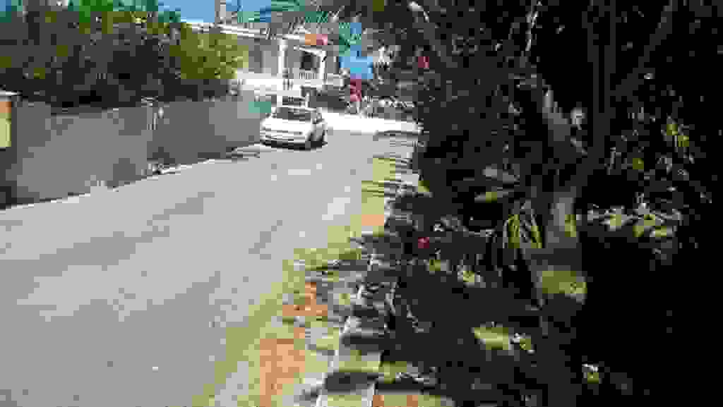 alex4