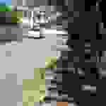 alex7