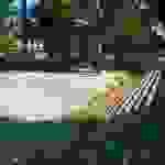 alex8