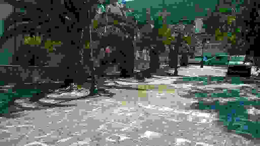 alex9