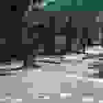 alex9