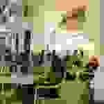 ammos