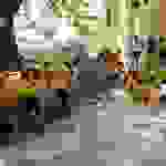 an14