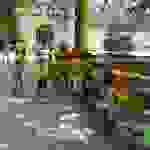 an16