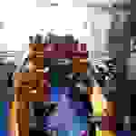 an