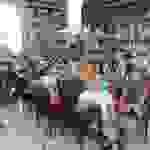 an5