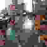 an6