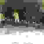 an9