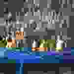 an9