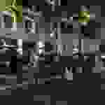 bees1