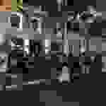 bees2