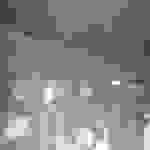 bees6