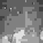 bees7