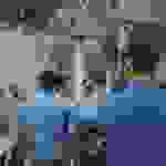 jer1