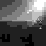 jer7