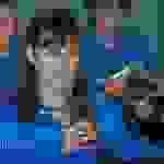 ma5