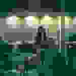 pina1