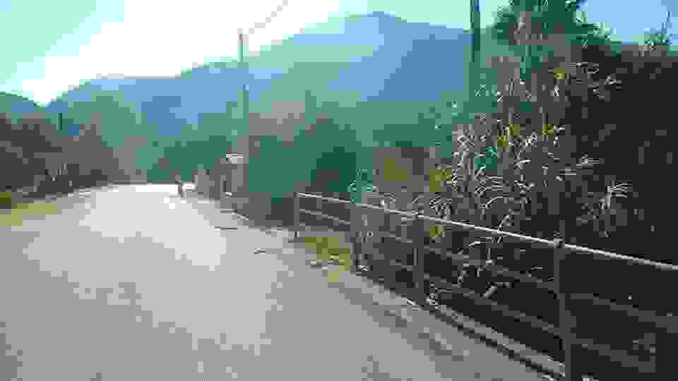 sam10