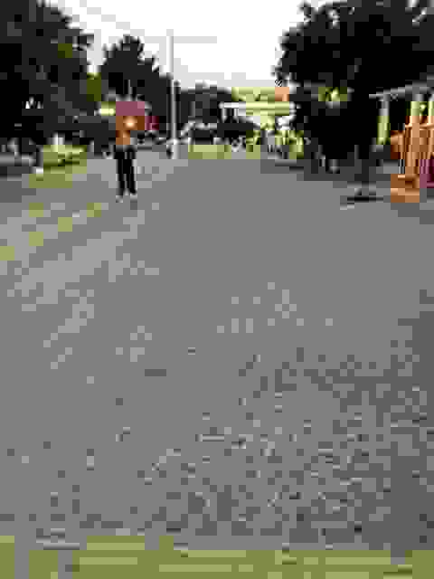 sam10