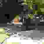 sam11