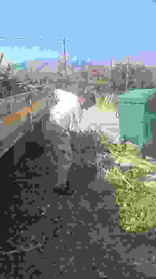 sam1