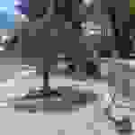 sam1