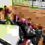 sam13