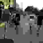 sam13
