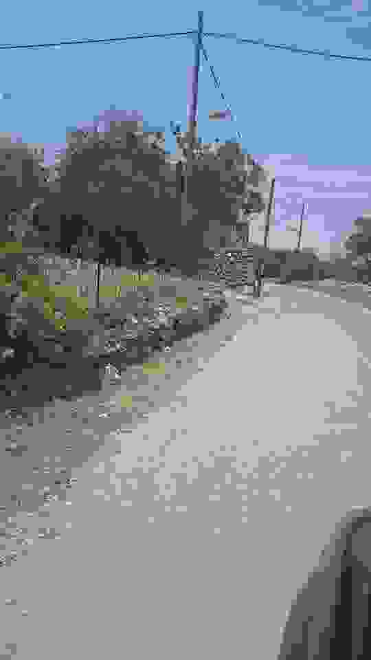 sam13