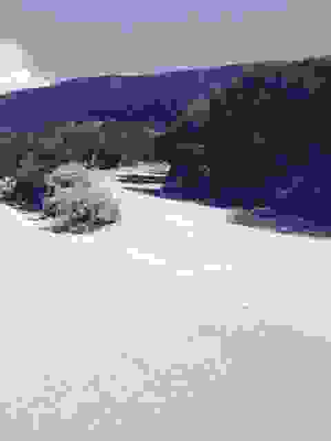 sam1