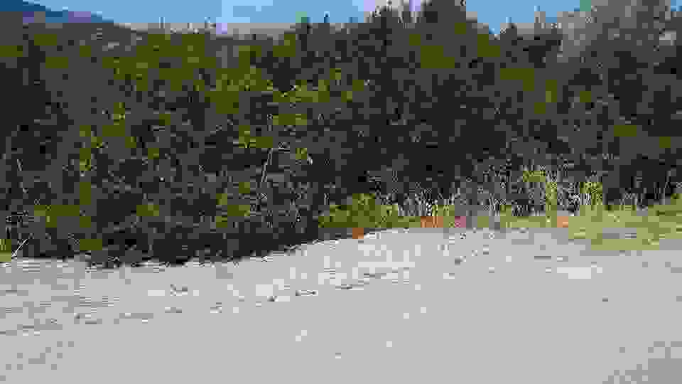 sam15