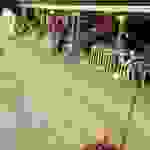 sam15